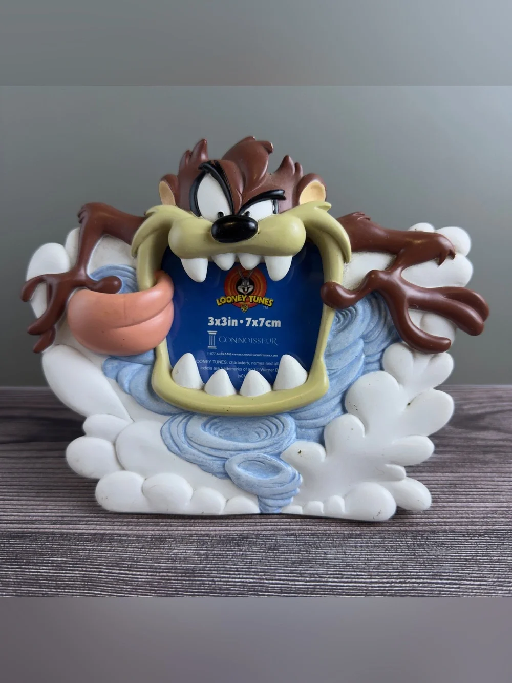 Looney Tunes Taz Tasmanian Devil 3x3 Photo Picture Frame Connoisseur 2001